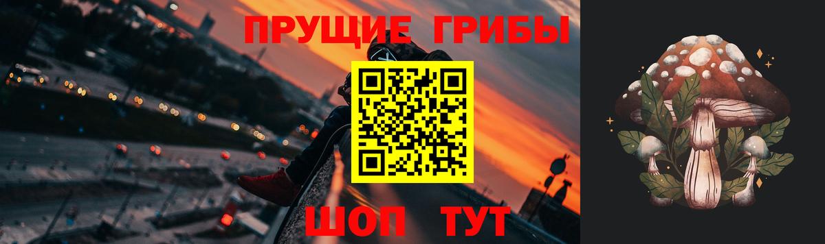 Глазов  закладки  Вход с VPN  Галлюциногенные грибы мицелий 